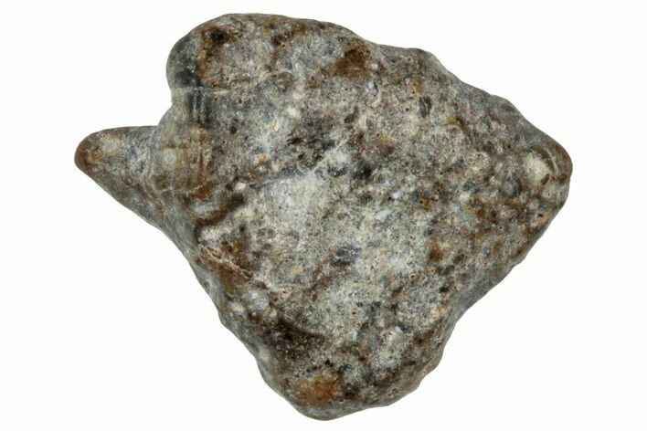 Lunar Meteorite ( g) - NWA #303775